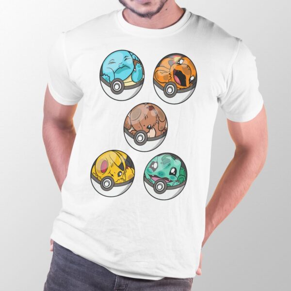 pokemon-branca-masc-starters-in-pokeballs