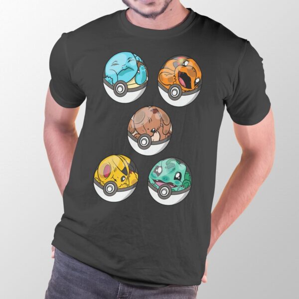 pokemon-preta-masc-starters-in-pokeballs